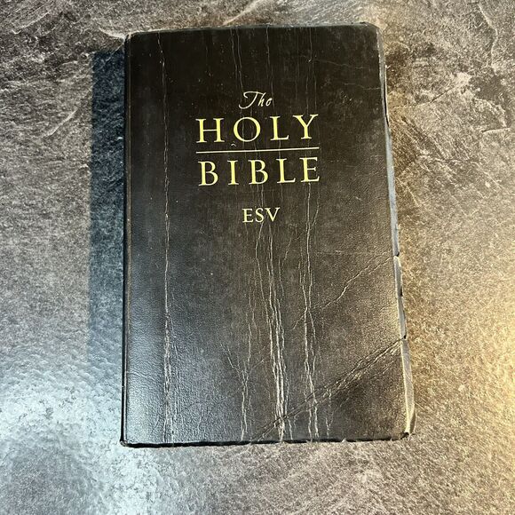2011 Crossway The Holy Bible Soft Cover ESV English Standard Version - Picture 2 of 12